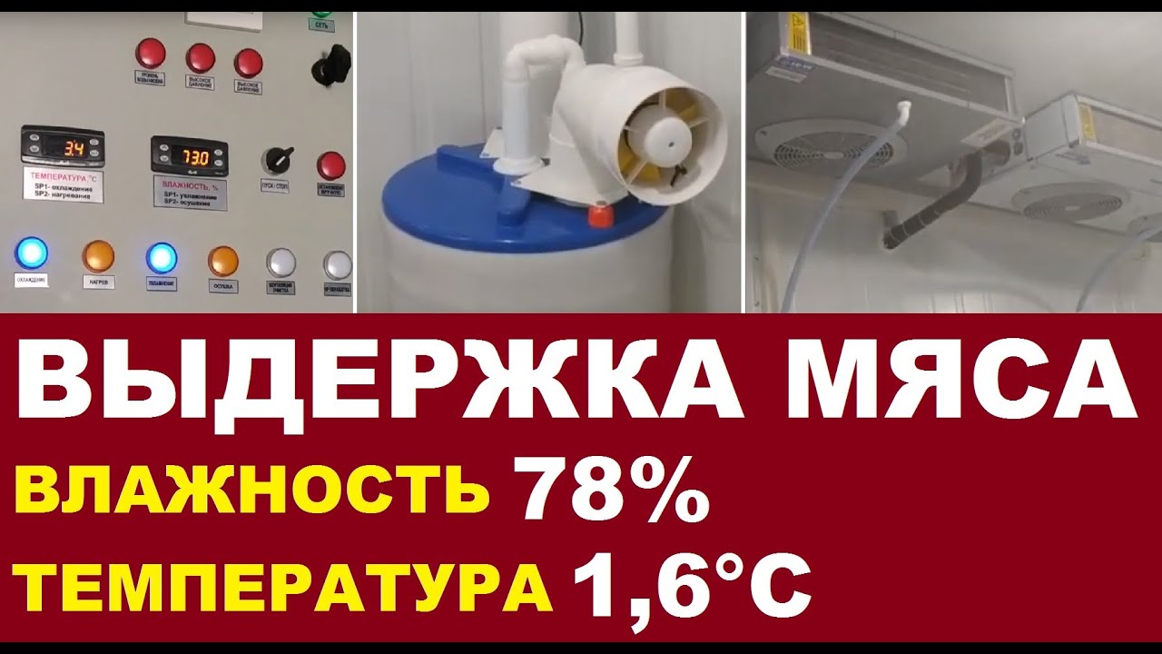 Климатическая камера созревания мяса (50 м.куб).