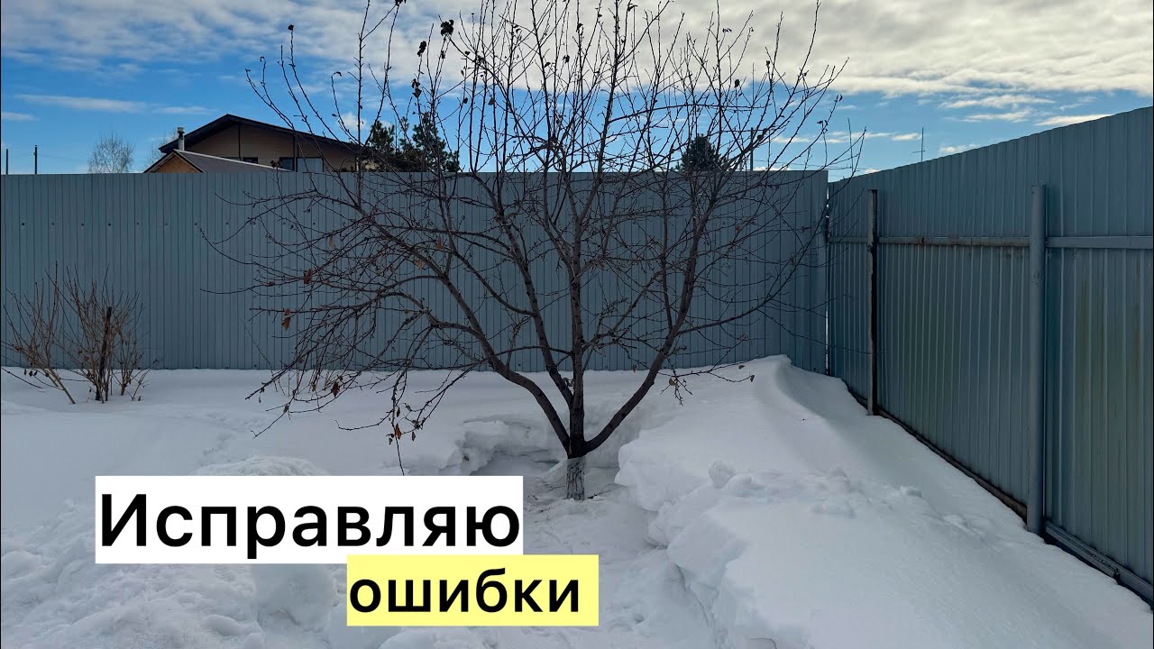 Весенняя ОБРЕЗКА яблони! 