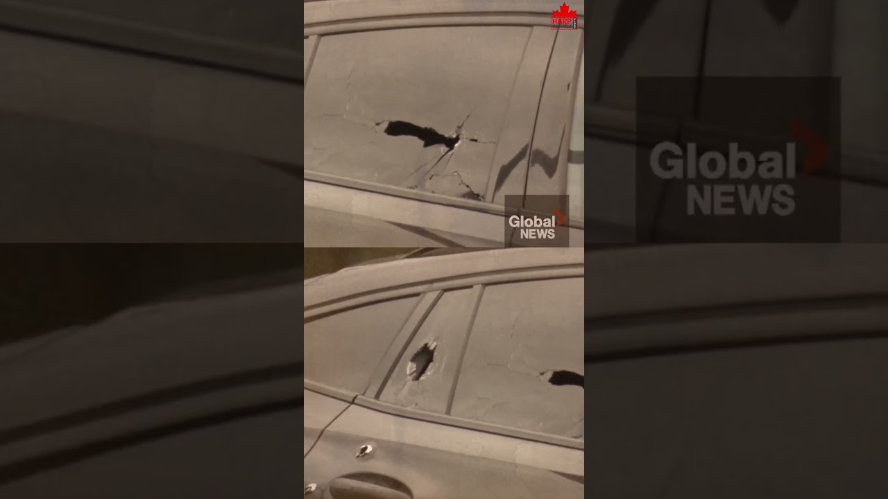 Canada Job as security guard shot dead shooting death of Harshandeep Singh News #Shorts