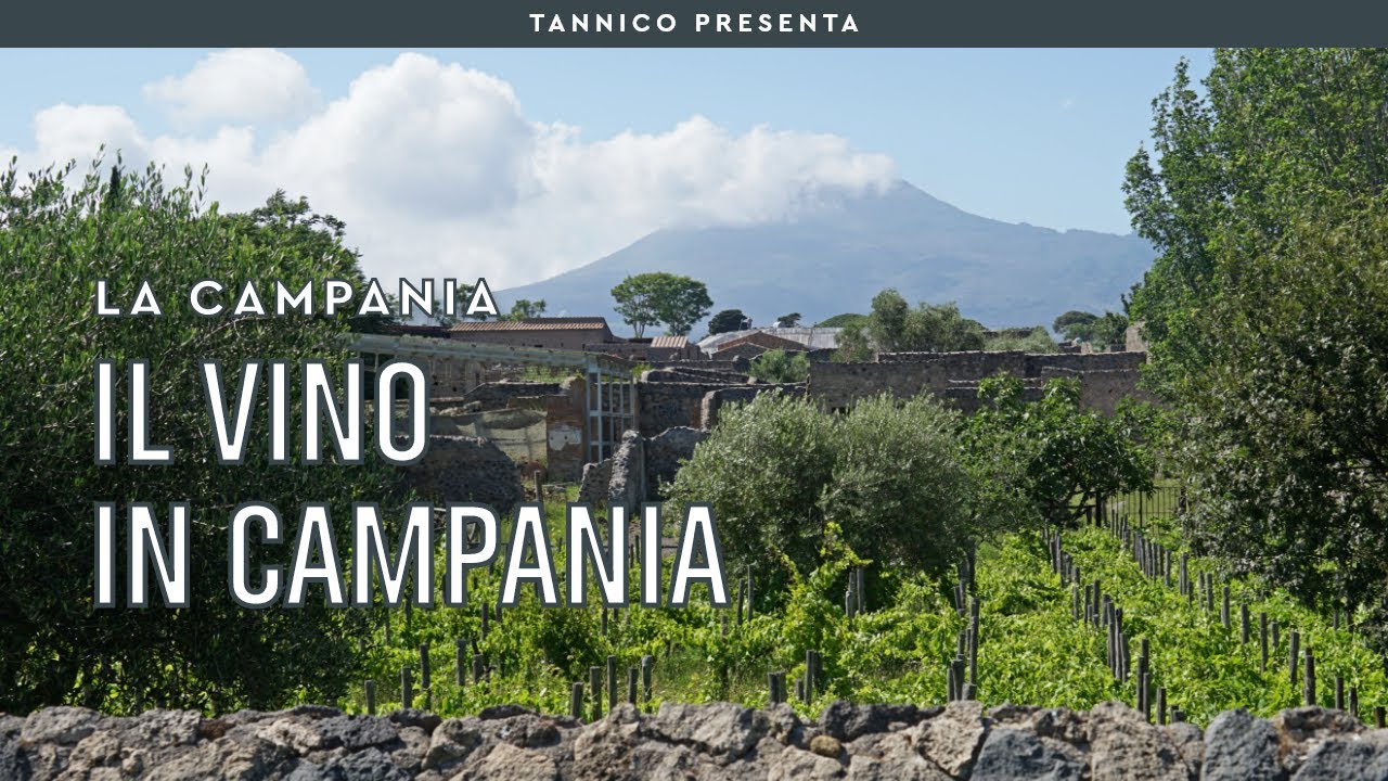 I migliori vini della Campania: il territorio e le caratteristiche | Tannico