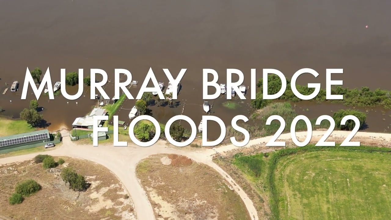 Murray Bridge Floods 2022 Sturt Reserve Dec 18 2022