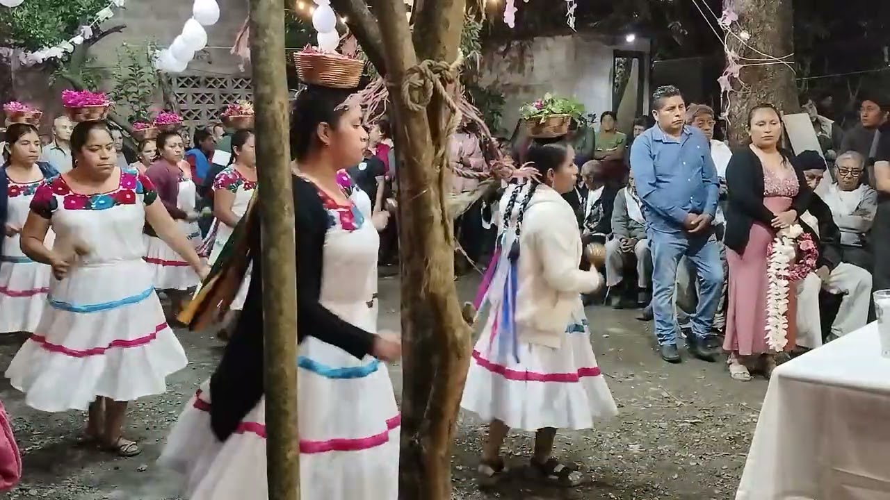 La, danza, de Inditas Santa Cecilia, informes, 7713463437, sólo por WhatsApp, con Don Albino García,