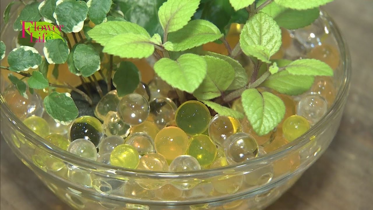 多肉植物、雑貨、観葉植物、緑のお店『GREEN'S』素敵にフラワーライフ「Flower＊Life」