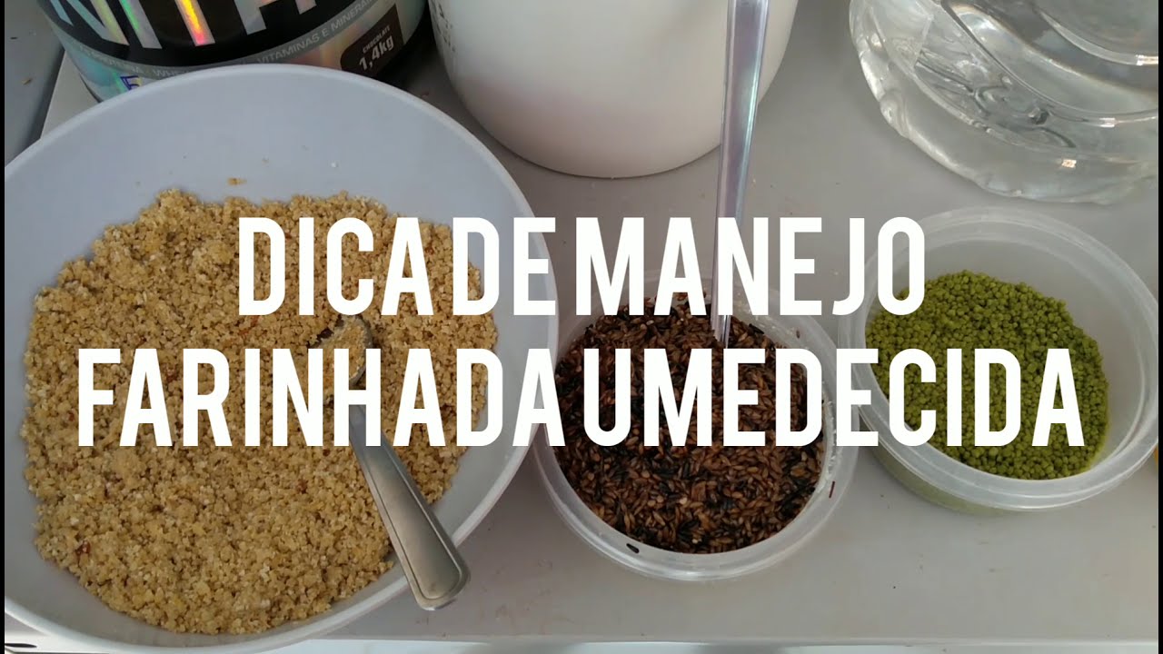 Manejo: Farinhada Umedecida Germinex