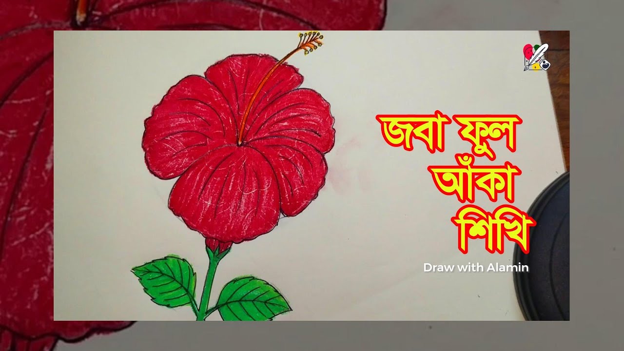 জবা ফুল আঁকা শিখুন  Easy Hibiscus Flower Drawing for Kids