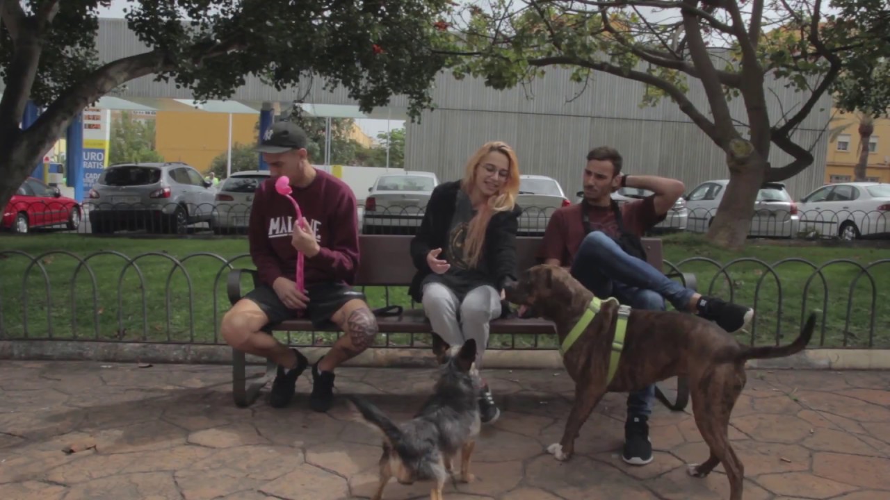 HIGHKILI - PUÑALITO PLATA  (directed by @leon.arocha)