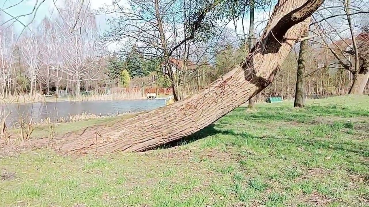 Atrakcje turystyczne i pierwsze zielone listki w IŁAWIE - STAŃiSŁAW WIERZCHOWSKI.