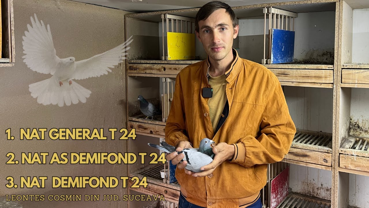 1 NAT. GENERAL TINERET 2024 ! 2 SI 3 NAT. AS DEMIFOND / DEMIFOND T. -LEONTES COSMIN DIN JUD. SUCEAVA