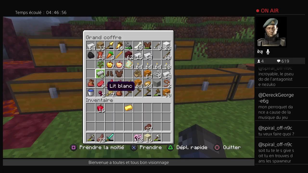 Minecraft:survie solo