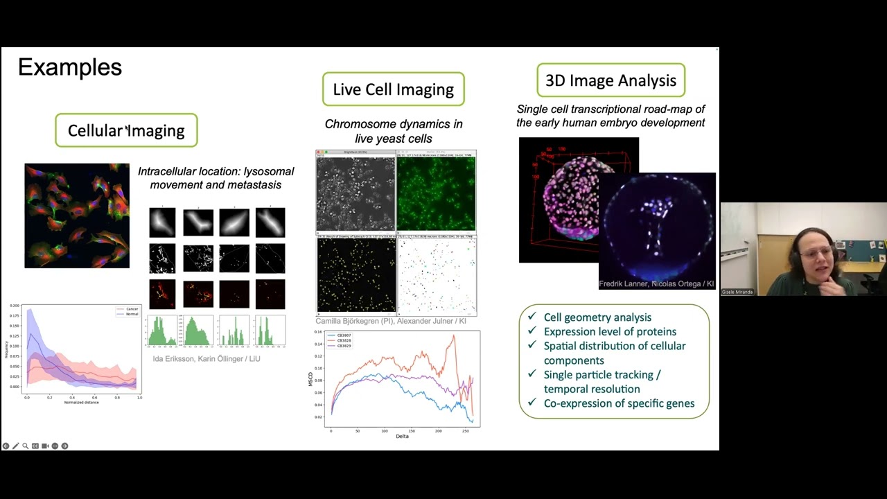 Introduction to Bioimage analysis 2026