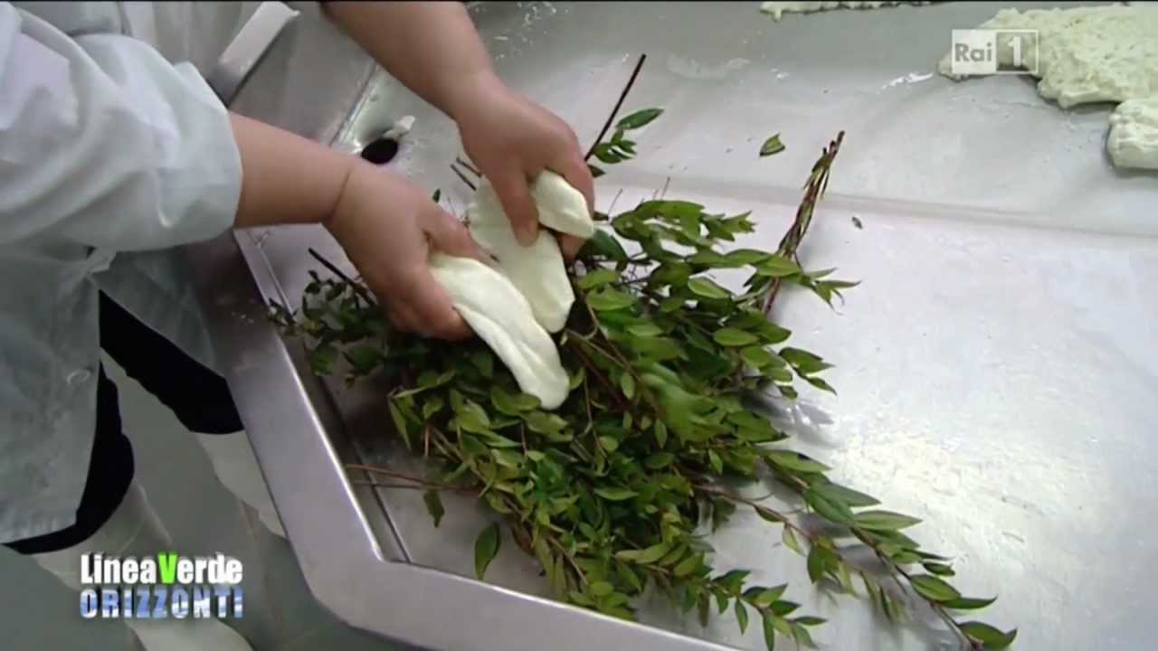 Linea verde - Azienda Agricola Starze - 18 marzo 2012