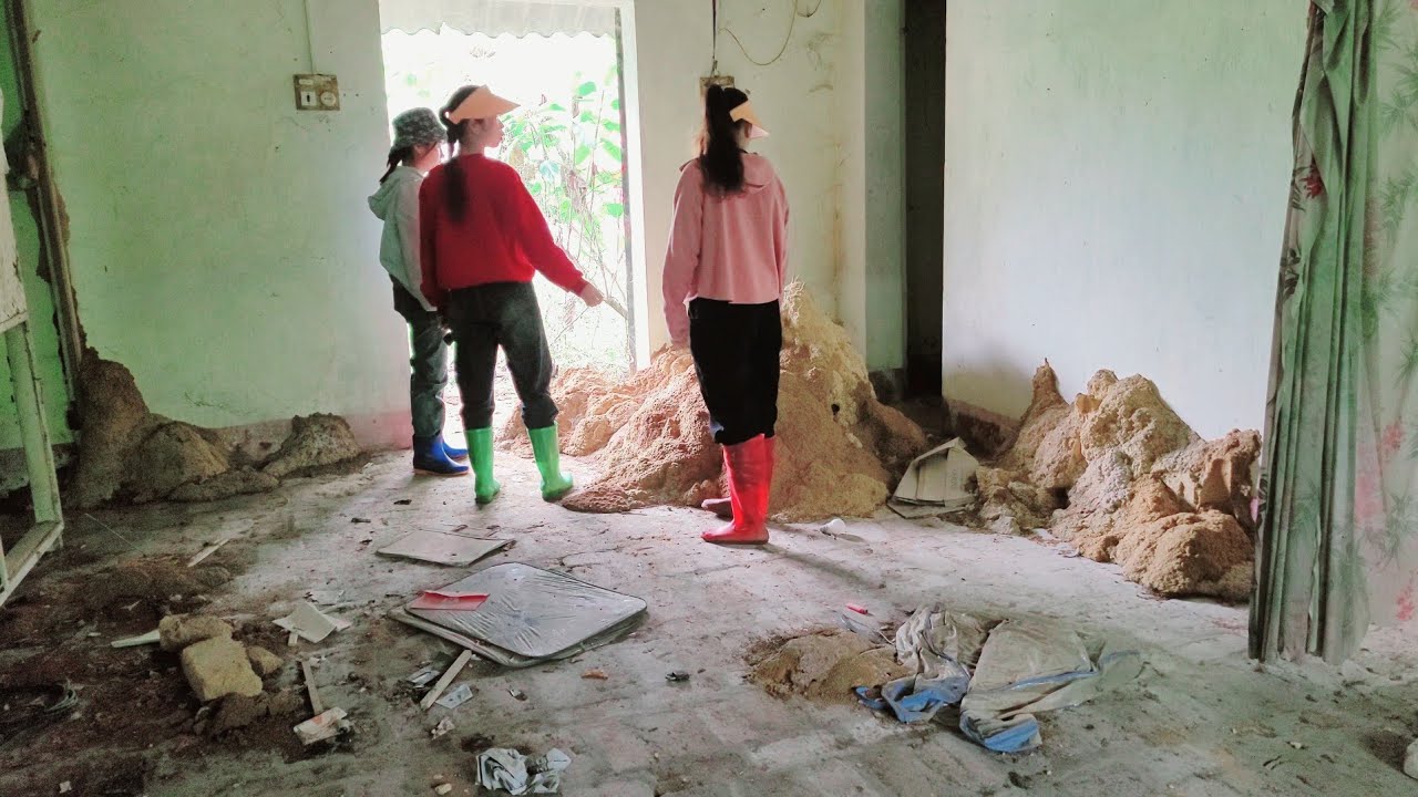 Renovating a 10-Year Abandoned Haunted House &ndash; What Will Happen?