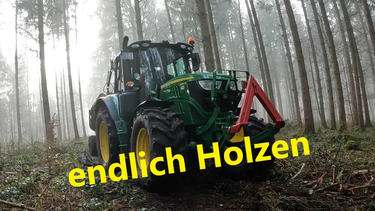 Käferholz im Winterwald