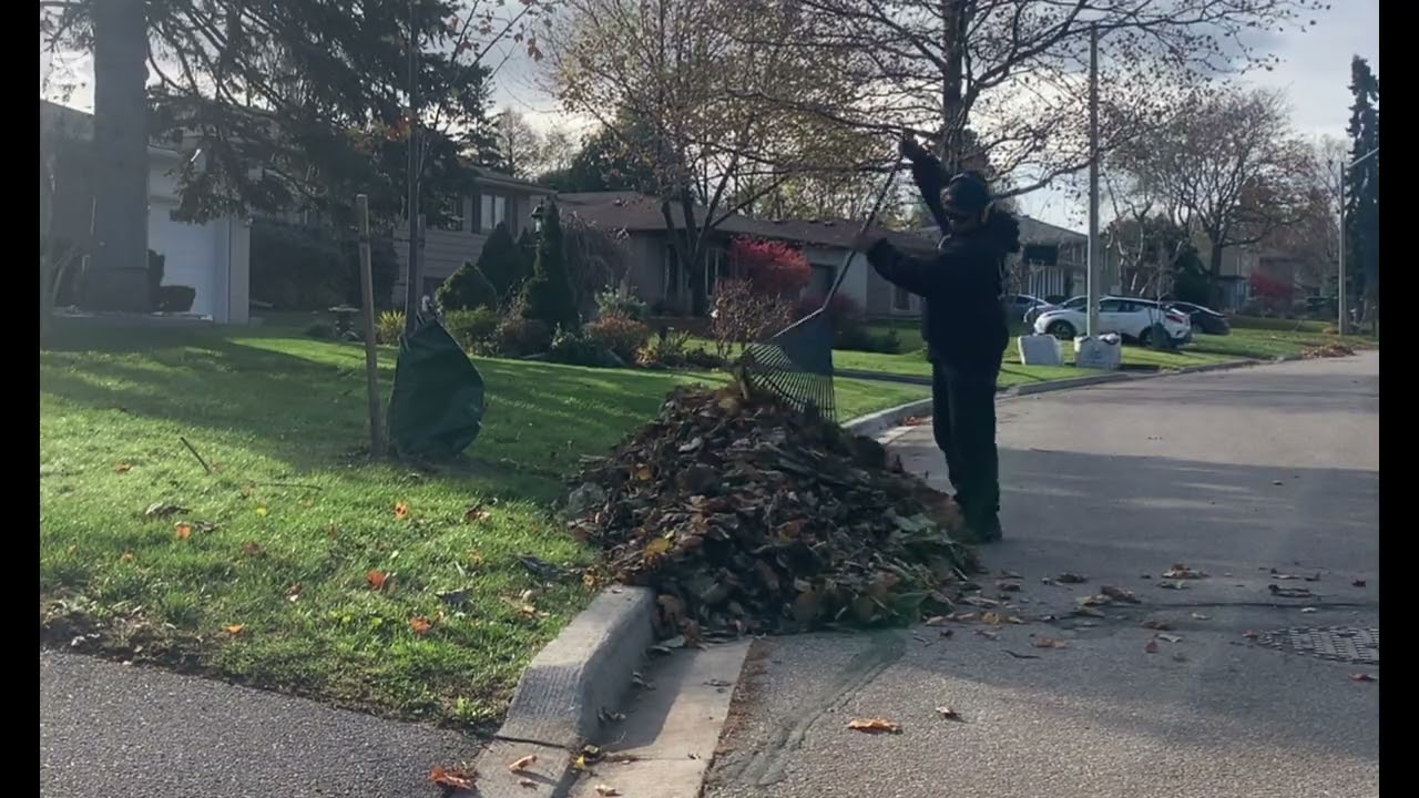 leaves blowing middle of November 2025