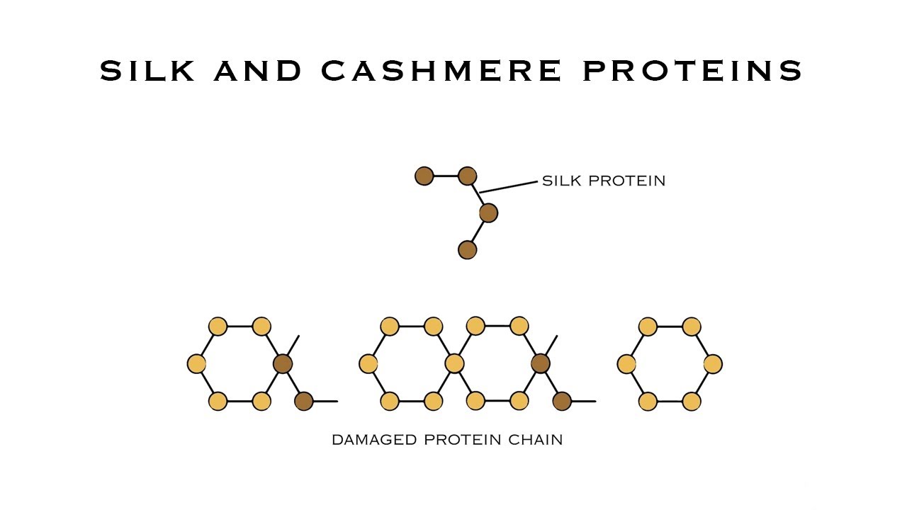 Silk and Cashmere Protein Professional Education Balmain Hair Couture