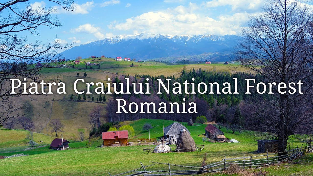 Hiking in the Piatra Craiului National Forest in Romania
