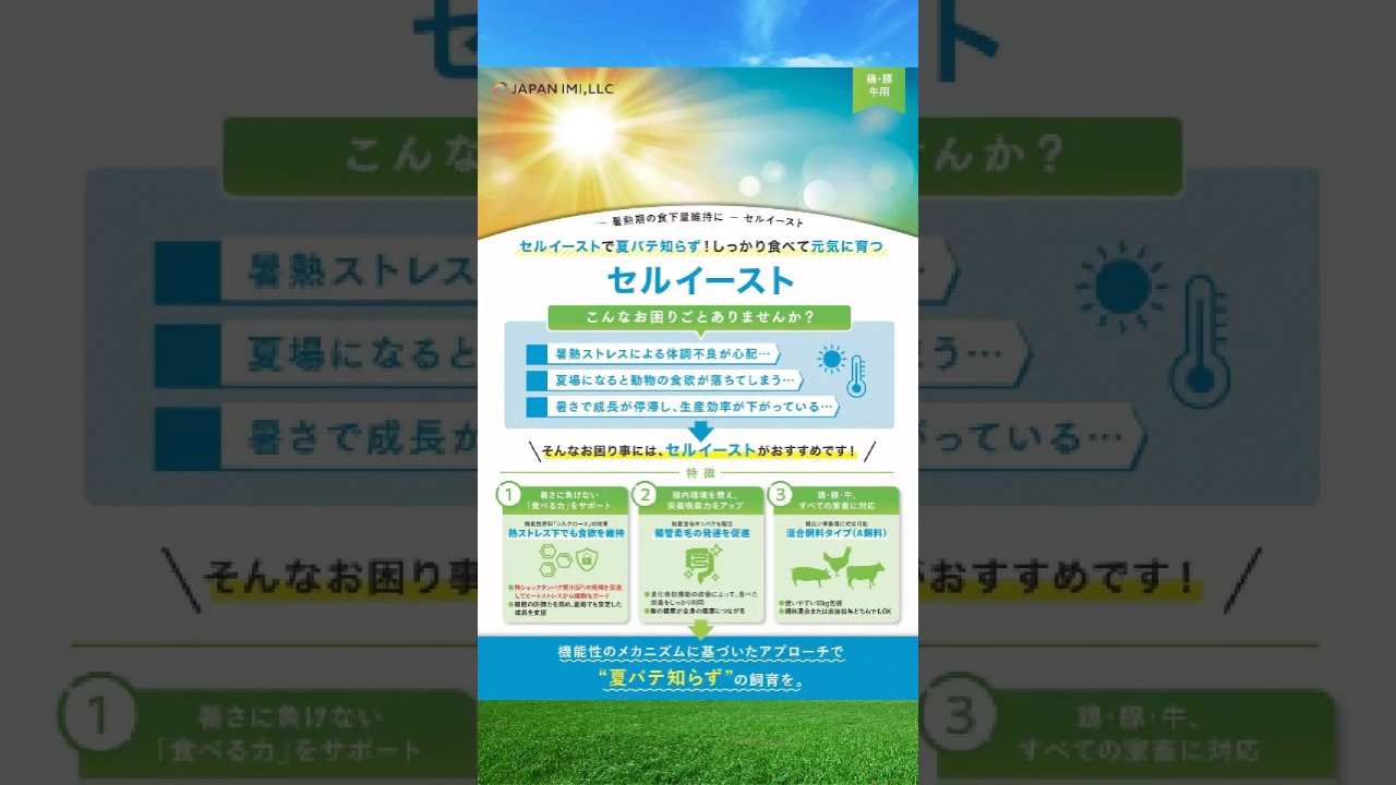 セルイースト　