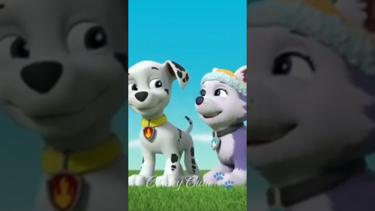 Marshall and Everest cute moment ❤️🐾 #shorts #pawpatrol #evershall