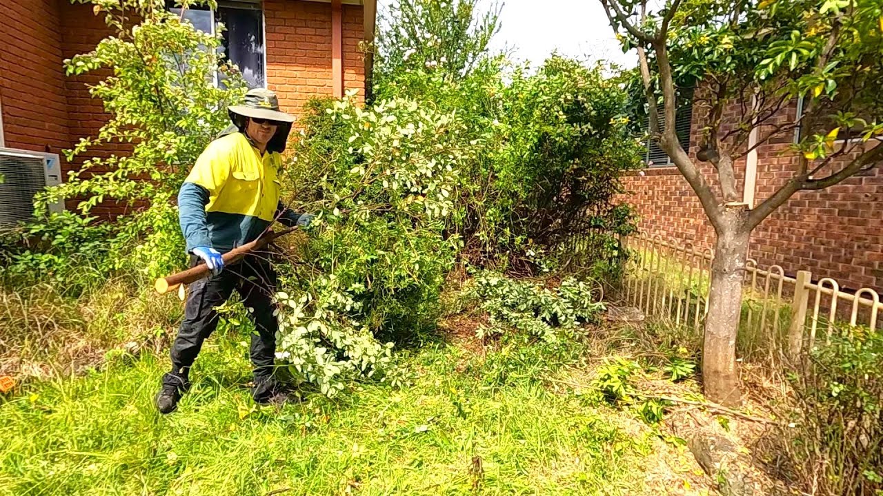 The Ultimate Yard Makeover: Witness this Spectacular Transformation!