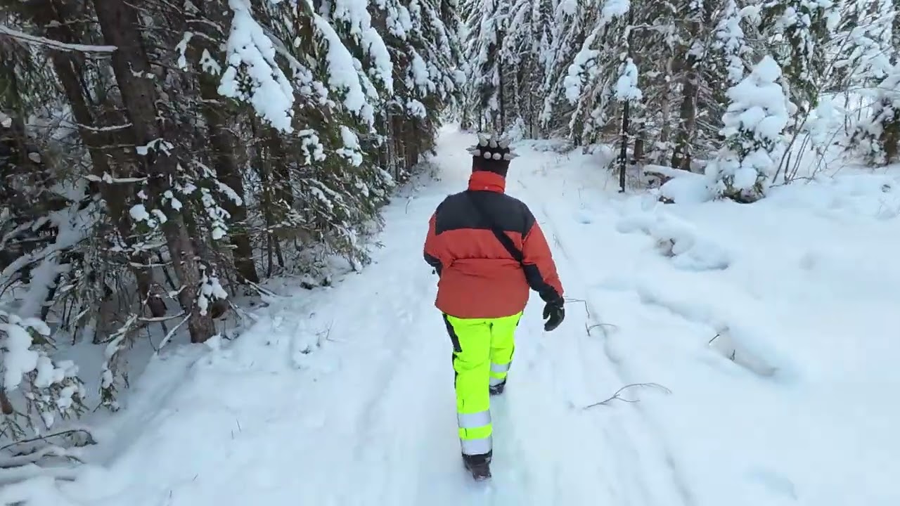 Lenkkeilyä, elektroniikkaa, ja valitusta.