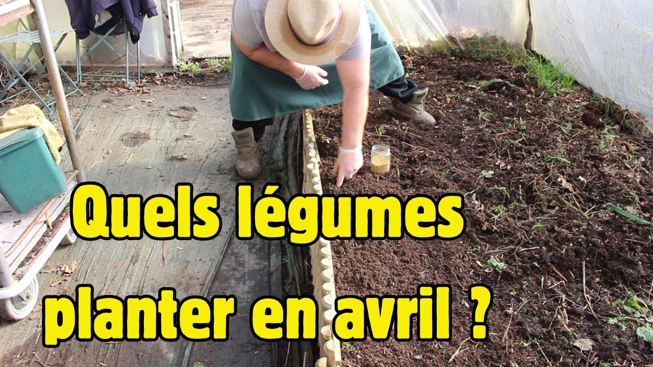 10 légumes à planter  en avril !
