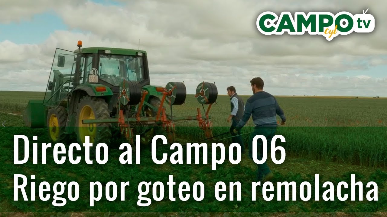 Directo al Campo 06 - Riego por goteo en remolacha