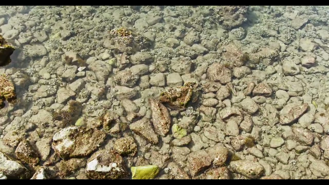 "La remor de la mar", una exposición de Perceval Graells