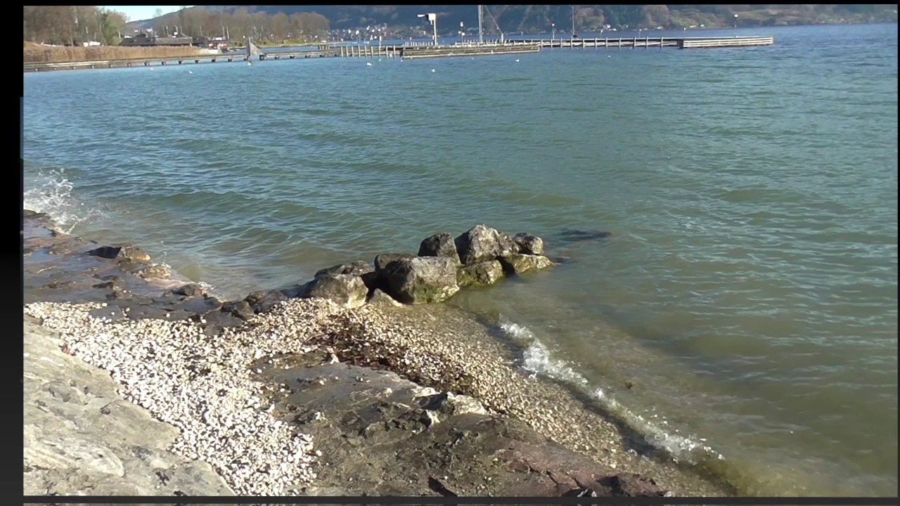 Altmünster am Traunsee