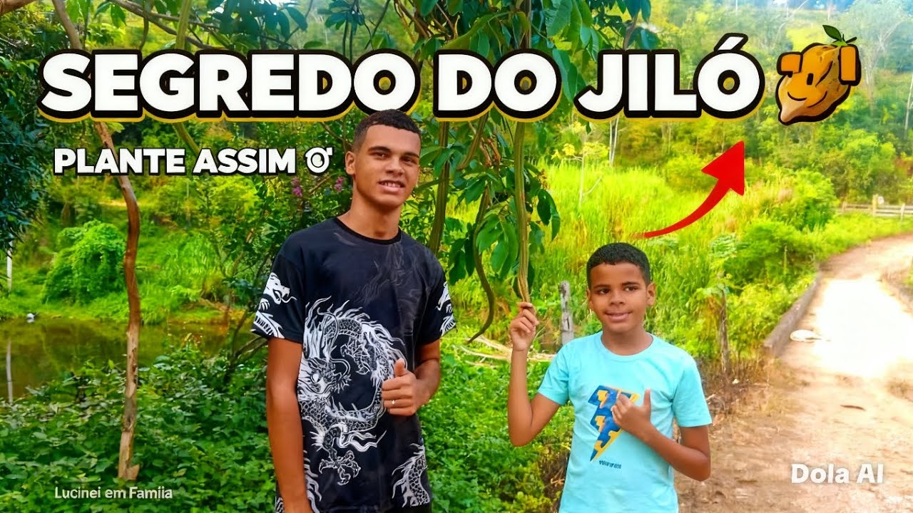 JEITO CERTO DE PLANTAR JILÓ PASSO A PASSO