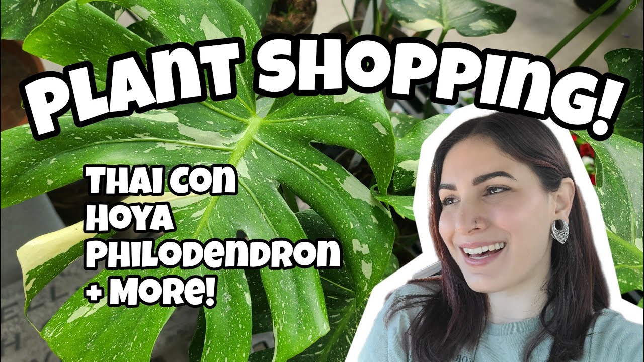 Plant Shopping at Osborne's Farm and Garden in Hooksett, NH! 🌿 Thai Constellation, Hoya + more!!