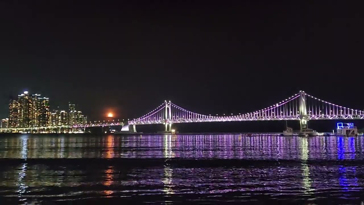 나무의 노래를 본 날 광한리 월출을 만나다 