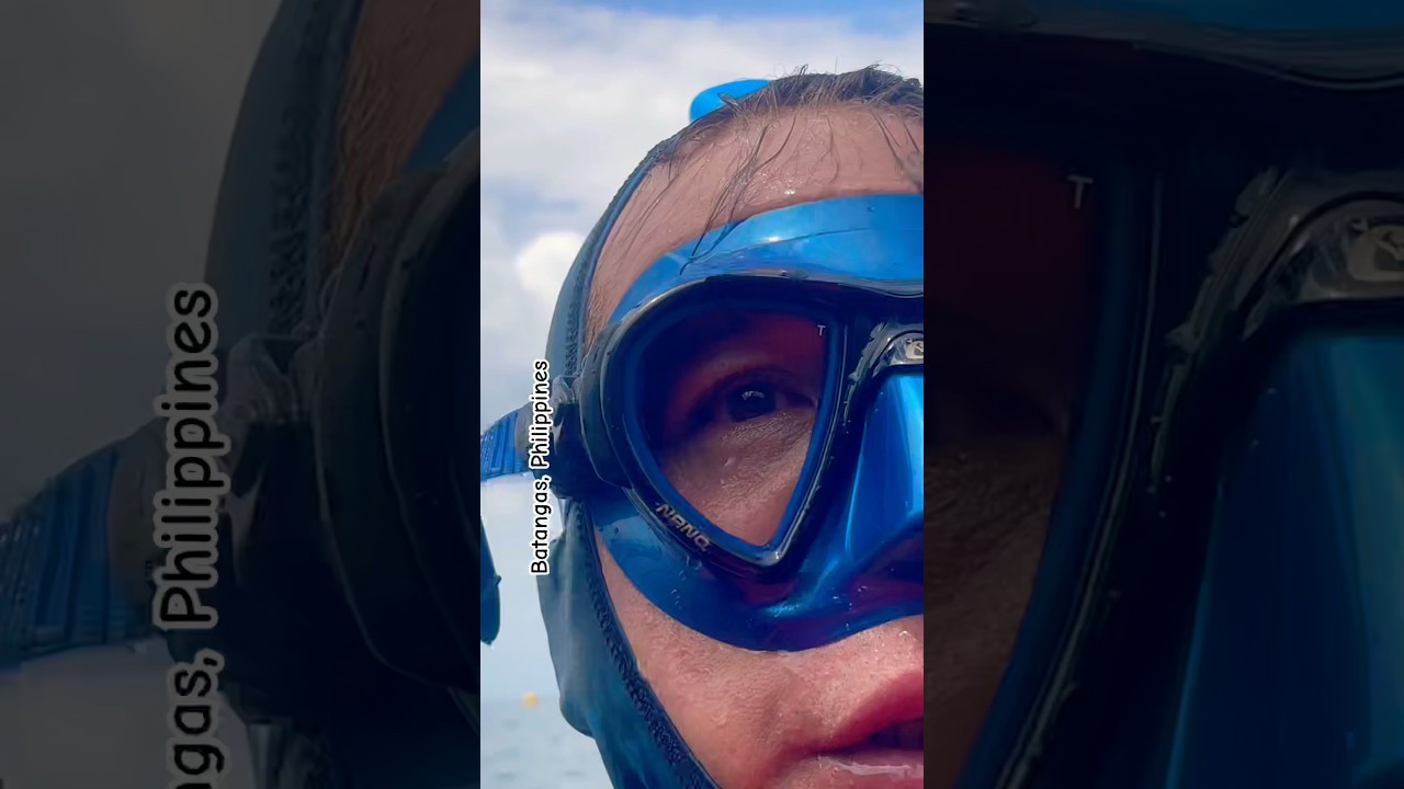 Philippines #batangas #batangasbeach #snorkeling #beach #diving #travel #viralshort #short #shorts