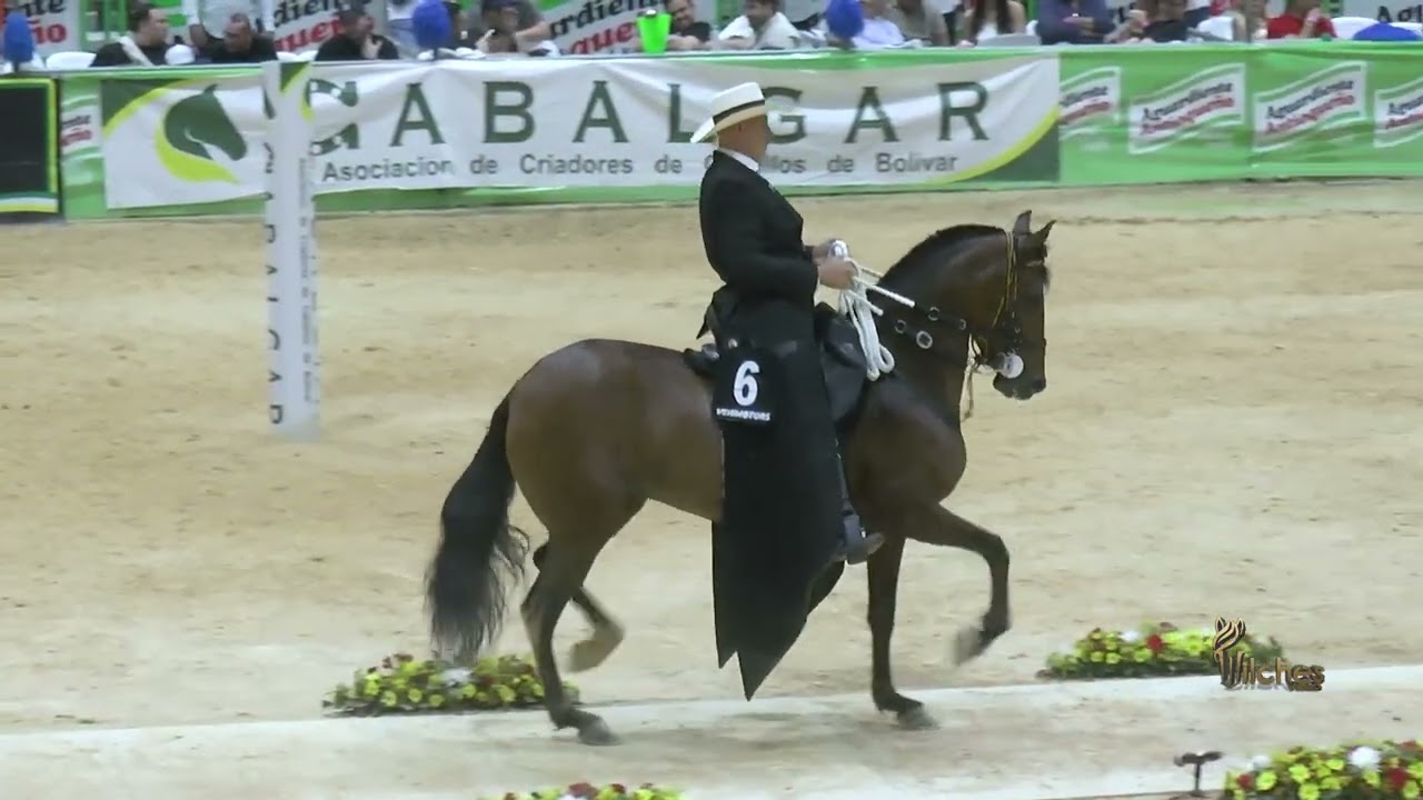KAMELIA DE DOS AIRES, CAMPEONA JOVEN TROTE Y GALOPE EXPO ARJONA GRADO B 2026