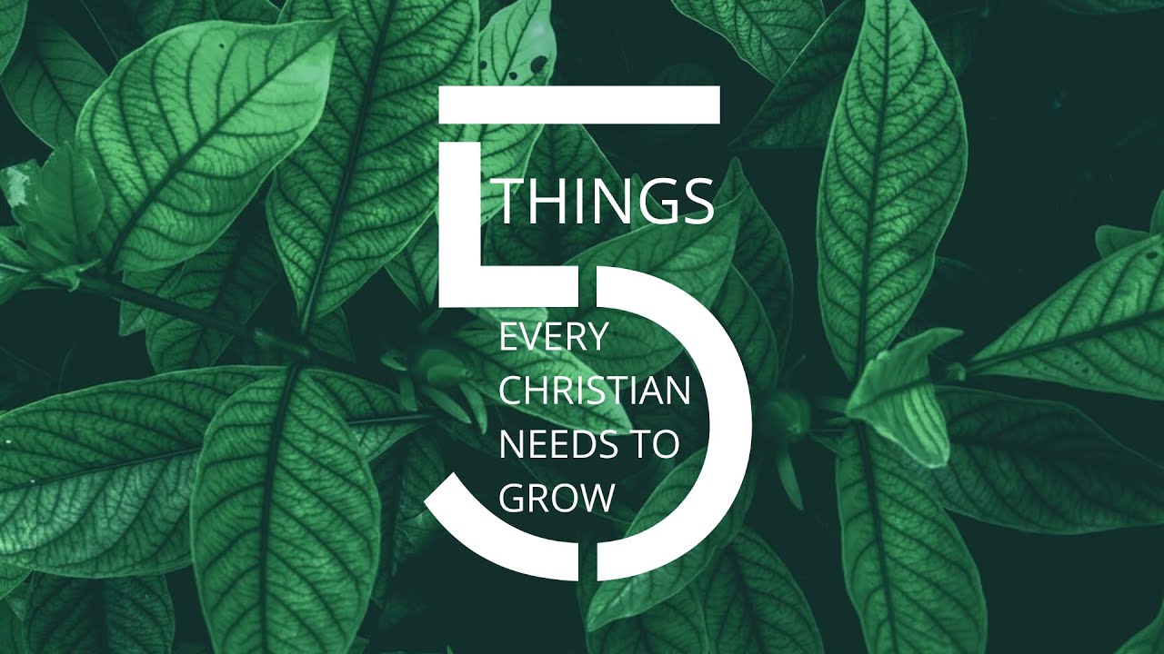 Why Every Christian Needs to Grow | Colossians 2:6-7