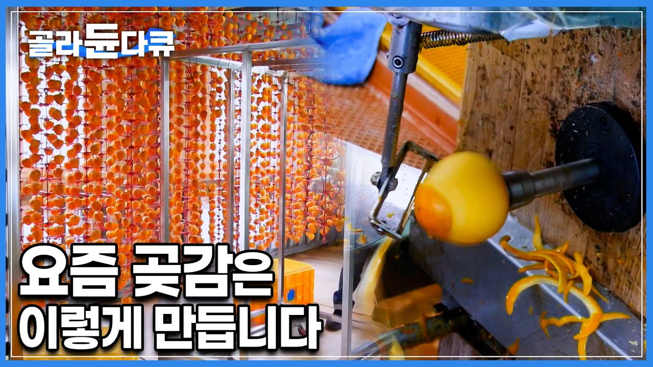 하나하나 손으로 깎던 감! 이제는 완벽한 자동화! 박피기가 알아서 잘 깎아줍니다! 요즘 곶감은 이렇게 만듭니다│경상남도 함양 곶감 공장│극한직업│#골라듄다큐