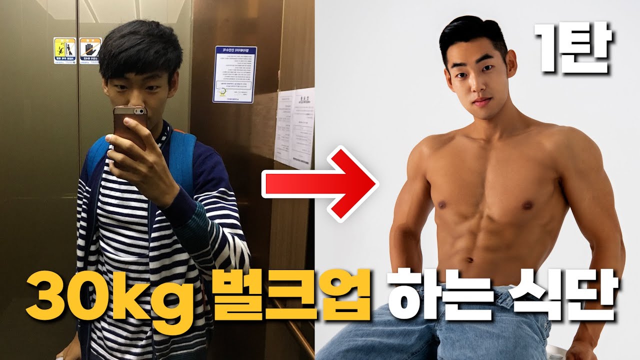 닭가슴살 없이 30kg 벌크업했습니다