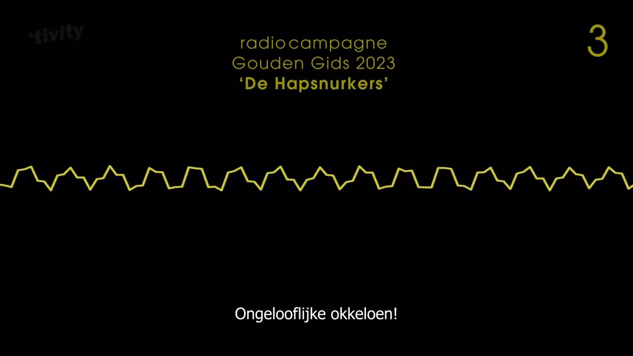 De Hapsnurkers - radiocampagne Gouden Gids 2023