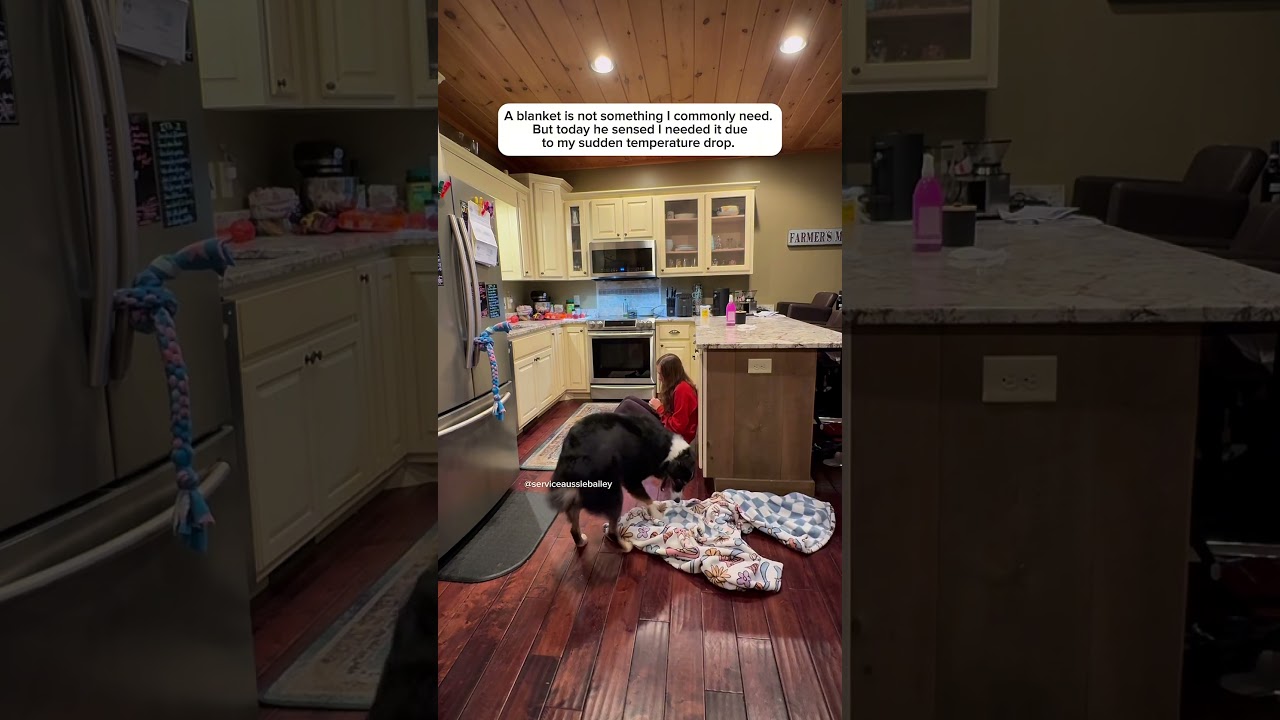 With him I feel safe, I have warning, I have response #disabilityawareness #servicedog #pots