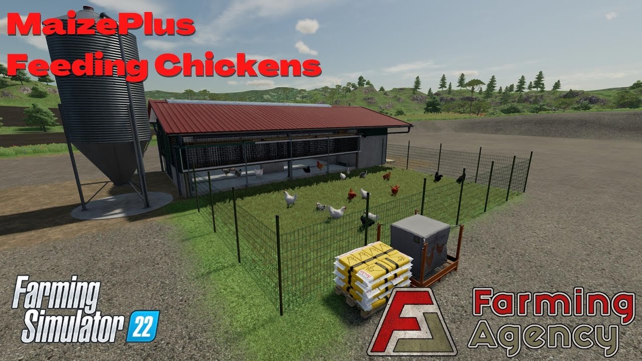Feeding chickens with MaizePlus - MaizePlus - FS22
