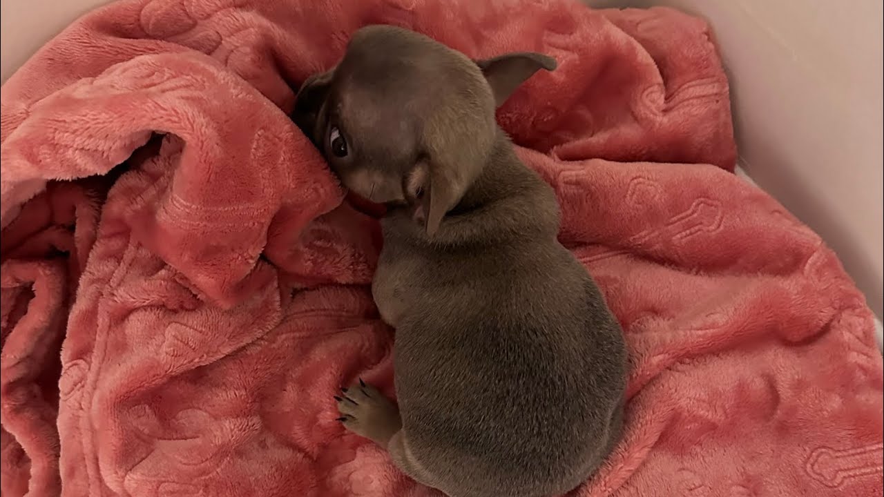 Ритуал отхода ко сну 😴💤