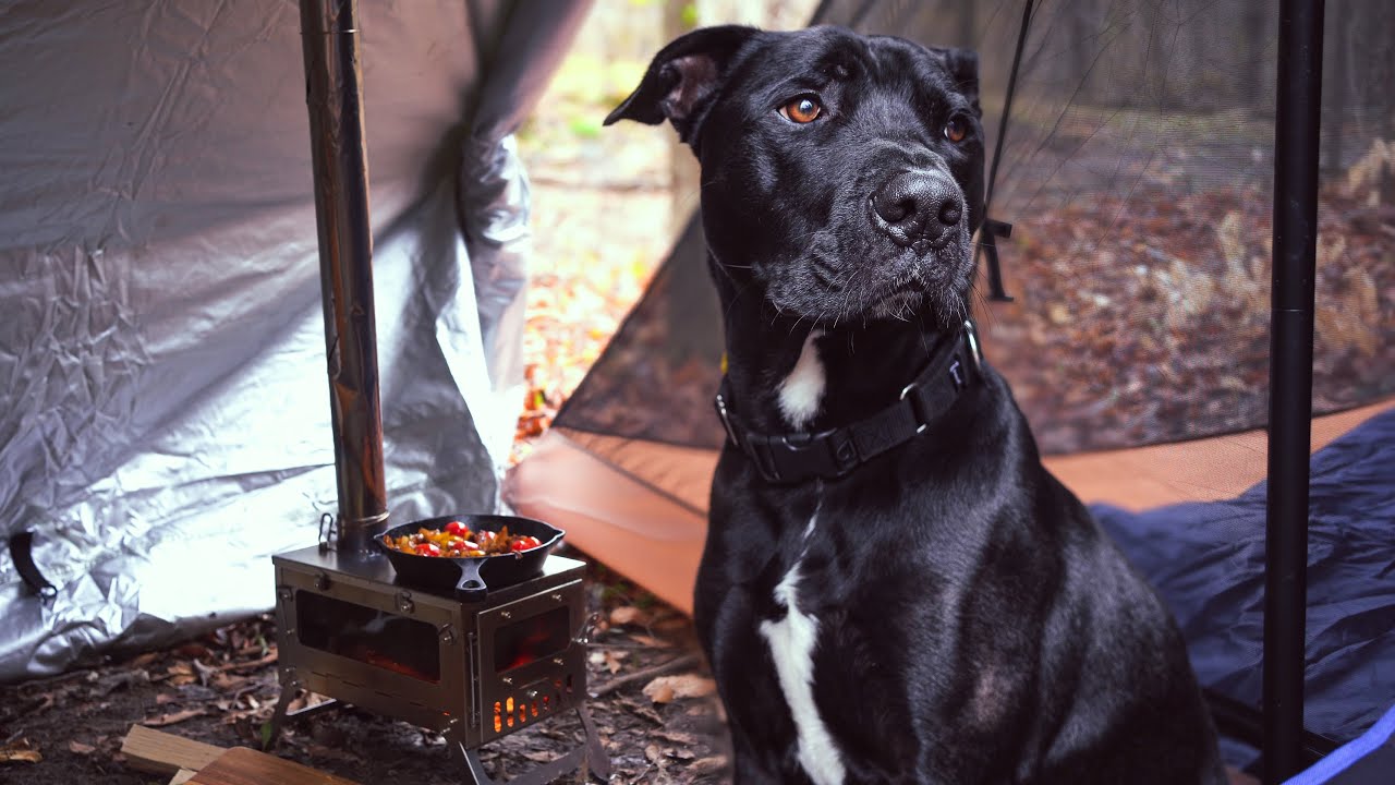 Hot Tent Camping in the Rain with my Dog | New Tent & Wood Stove Cooking; Steak, Shakshuka & Oatmeal