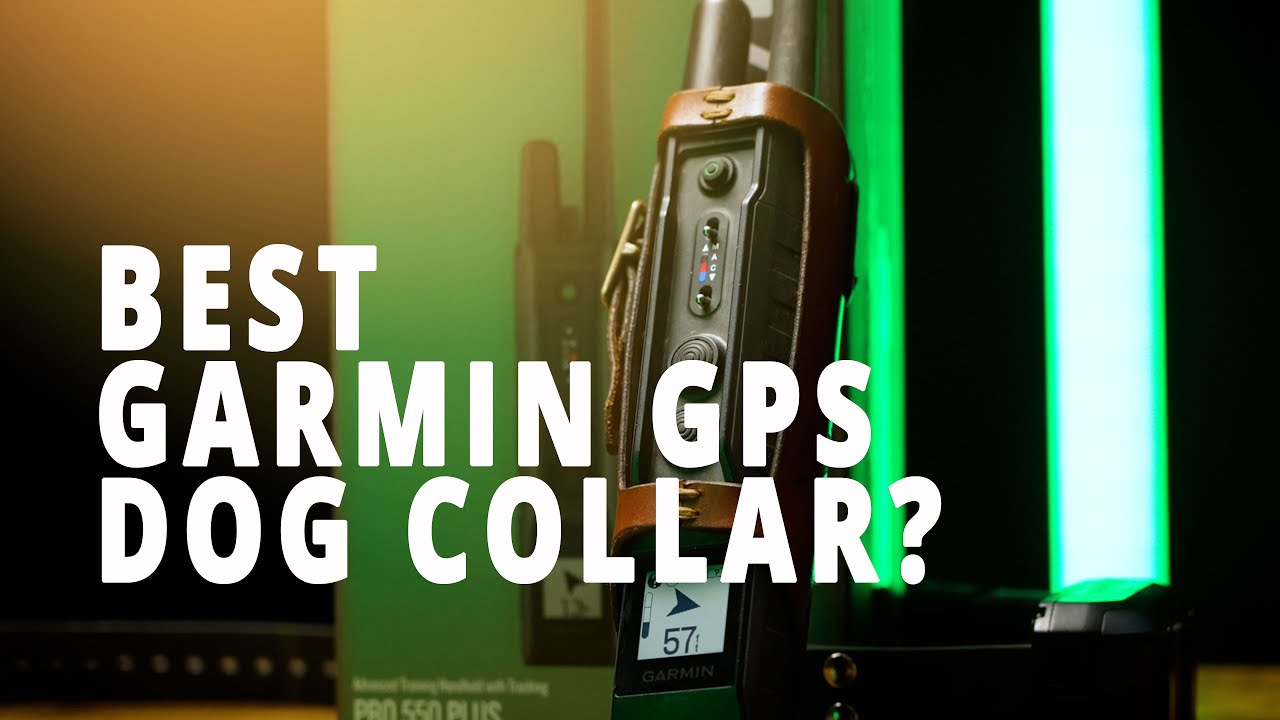 Лучший GPS-ошейник для собак Garmin? Мы сравним их все!