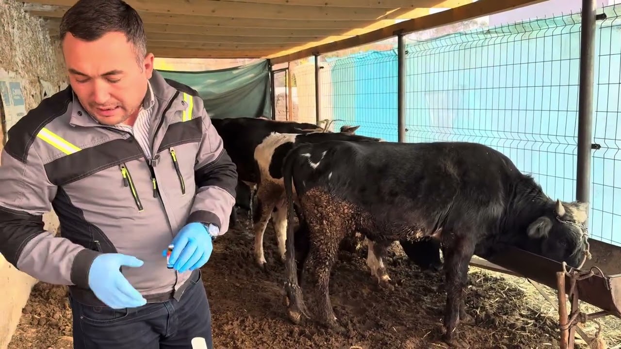  Мускул тўқималарнинг яллиғланишига энг яхши ишлайдиган восита бу Бистрепен