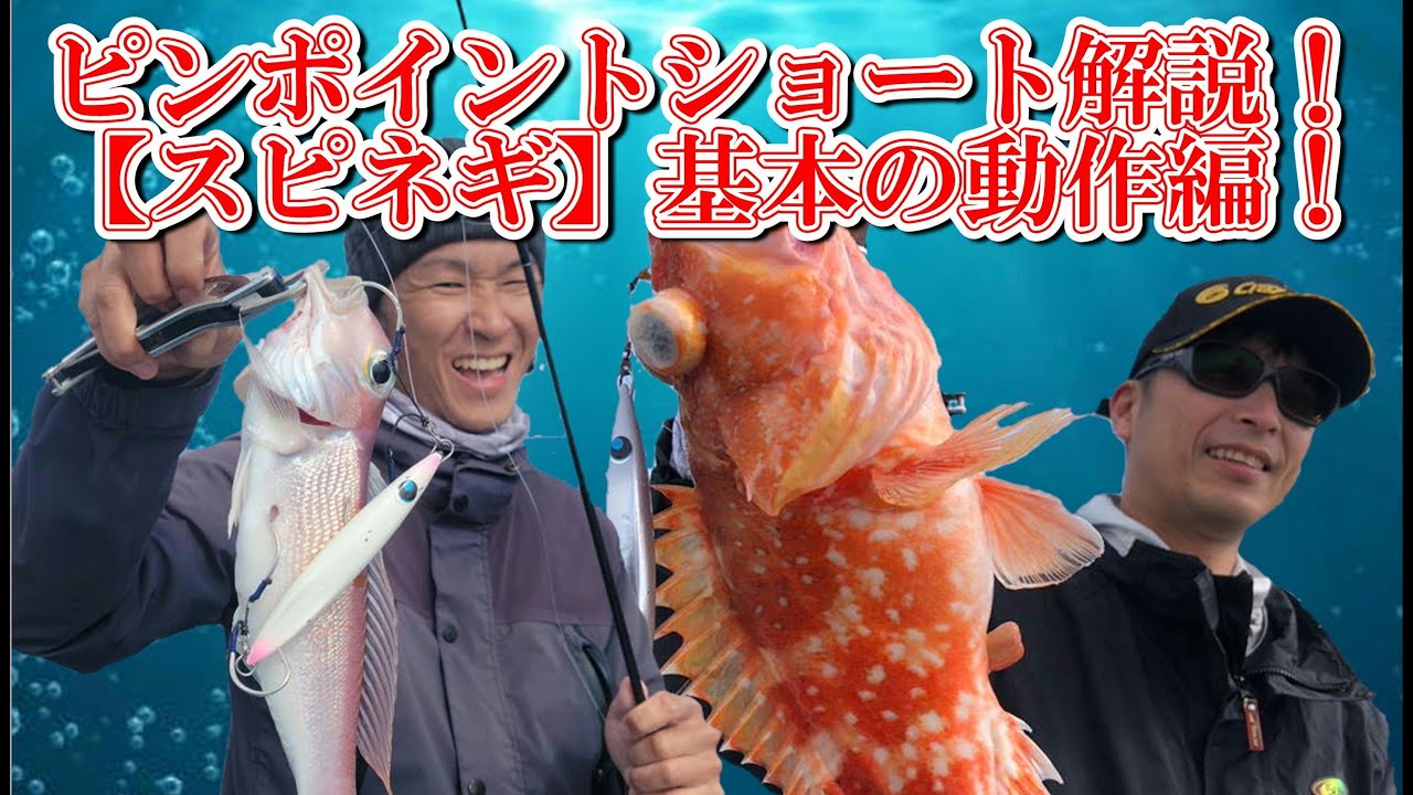 【スピネギ】今話題のスピネギとは!?釣り方教えてもらいました！