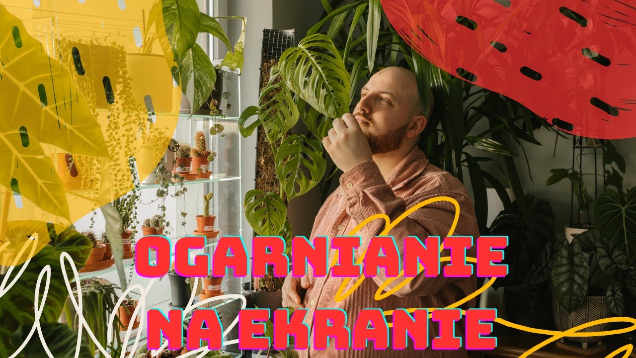 CO TU SIĘ WYDARZYŁO? | ogarnianie na ekranie