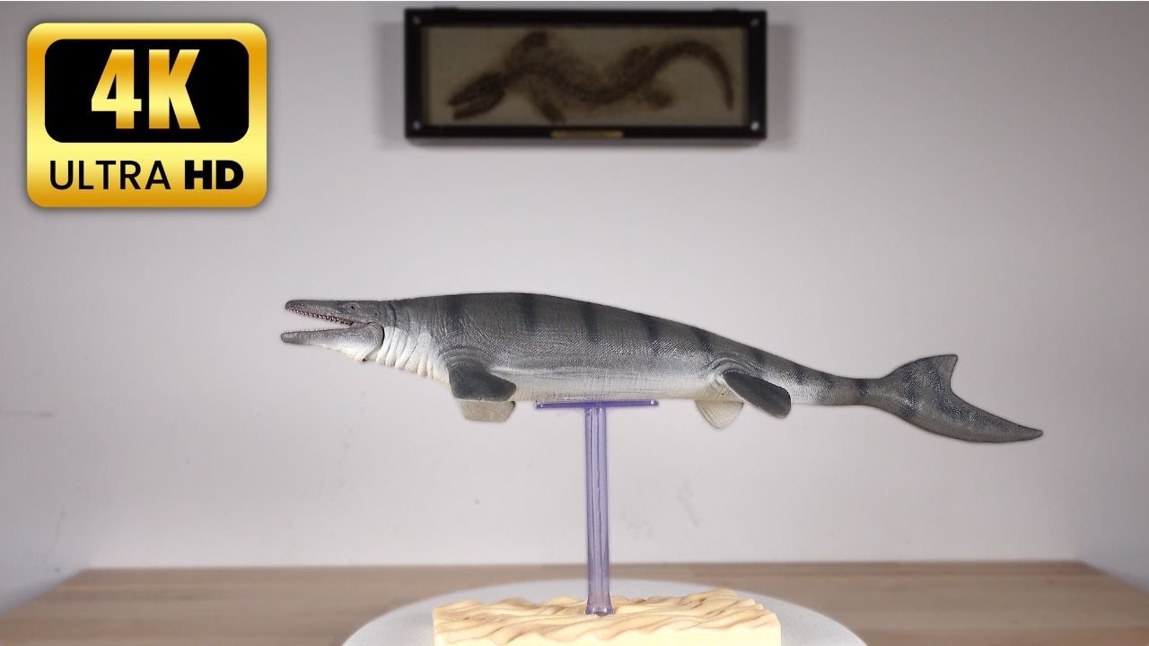 Mosasaurus CollectA 2022 - 4k video