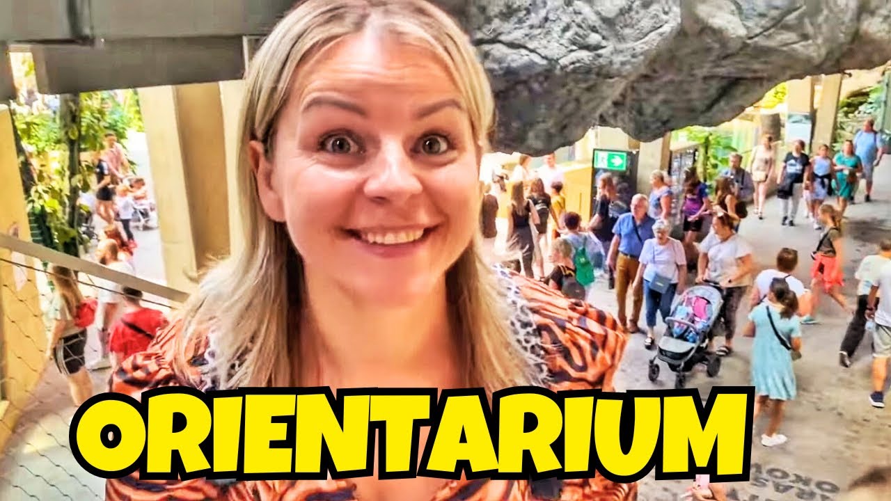 ORIENTARIUM ŁÓDŹ - ZOO w Łodzi - Kąpiel Słoni, karmienie Orangutanów!