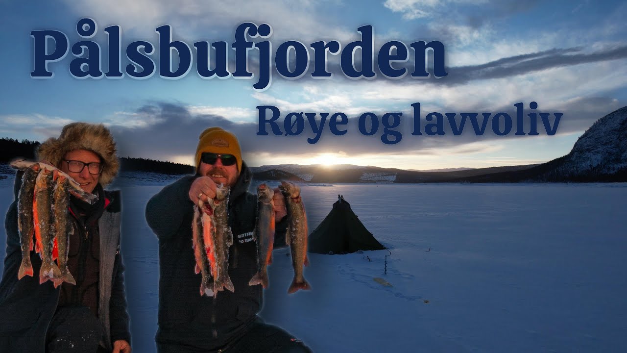 Pålsbufjorden - Røye og lavvoliv