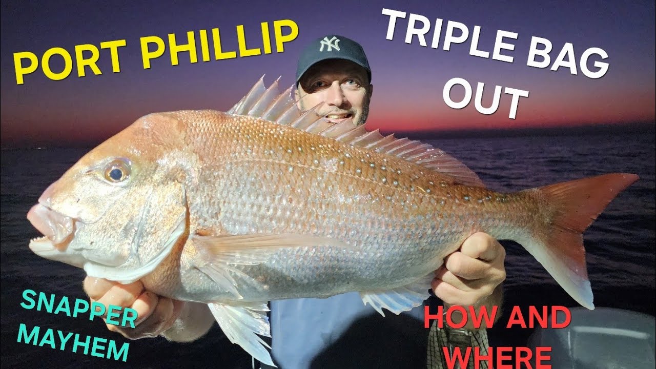 SNAPPER FISHING | PORT PHILLIP | TRIPLE BAG OUT #snapper #snapperfishing #portphillipbay