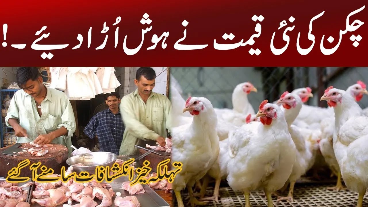 Chicken Prices Increased Again | Breaking News | PNN